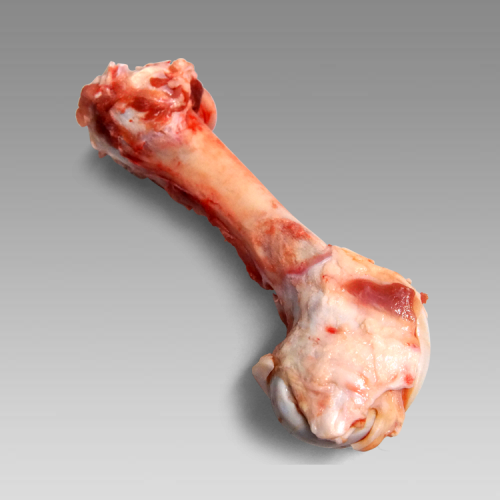 Femur bone