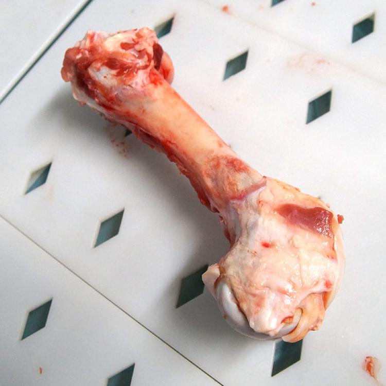 Femur bone